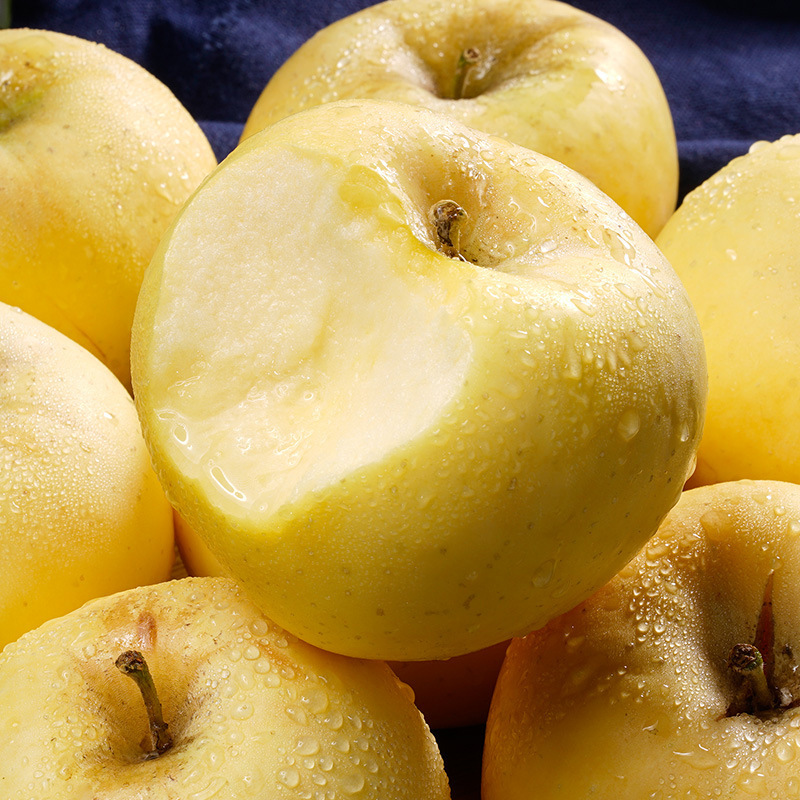 Shandong Gold Cream Rich gives 3/9 pounds of fresh fruit and ice cream and sweets for the season.