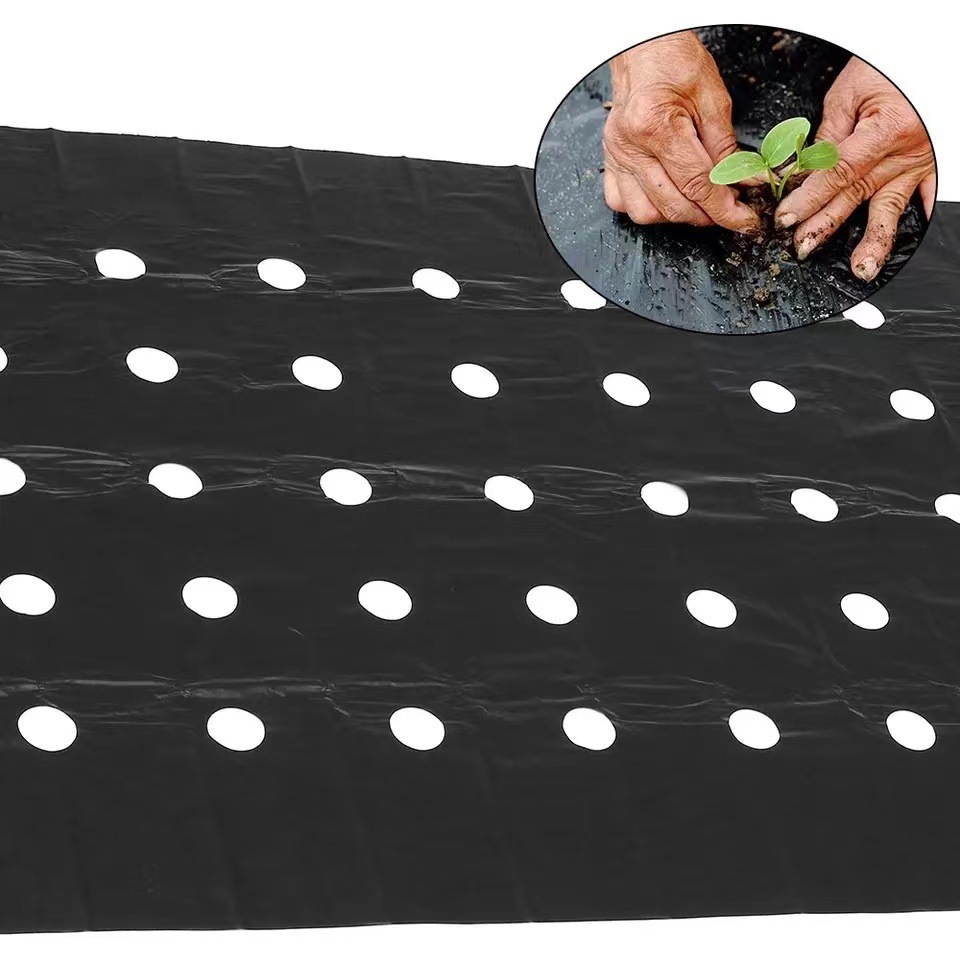 màng màng màng nhựa đục thủng PE Agriral, màng màu đen, nhiệt độ trong màng 0,95*10m cỏ