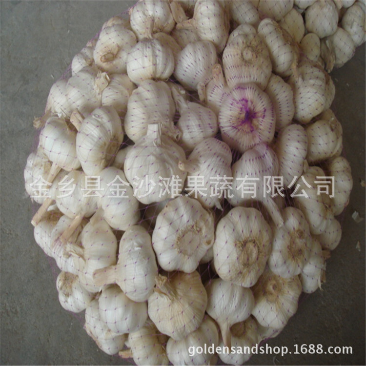 大量提供大蒜  厂家直销  欢迎前来咨询 大蒜