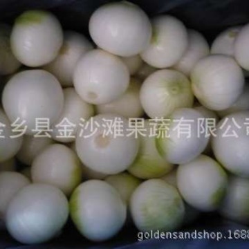 อุปสงค์ระยะยาว หัวหอมตกแต่ง ราคานิยม