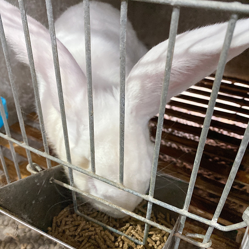 Support the customisation of Qingtao's large bag with 40 kg full-cost feed for rabbits and rabbits to feed rabbits.