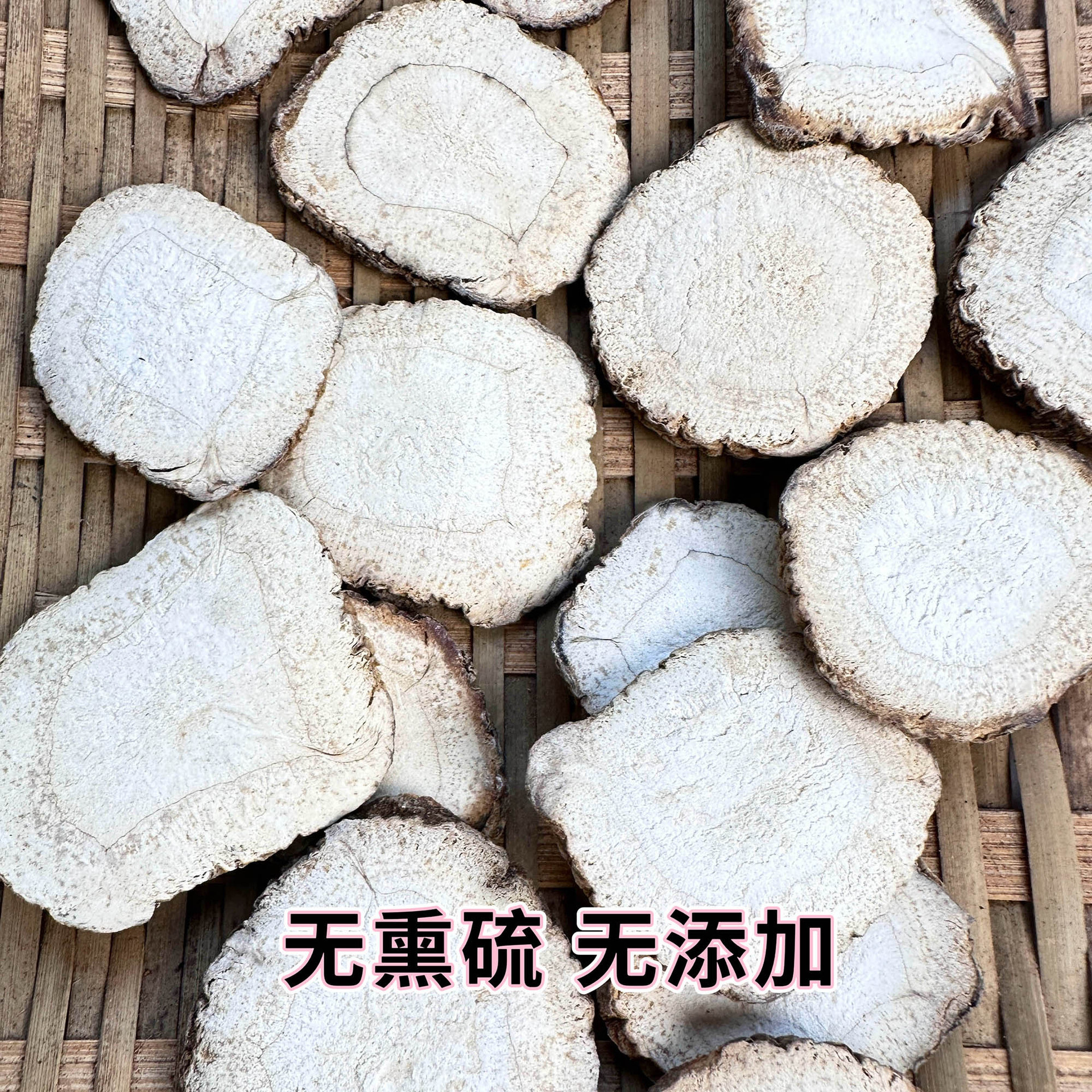 Trắng, trắng, to, to, lớn, rễ cây, đủ mạnh để nếm, halogen, khô, không lưu huỳnh.