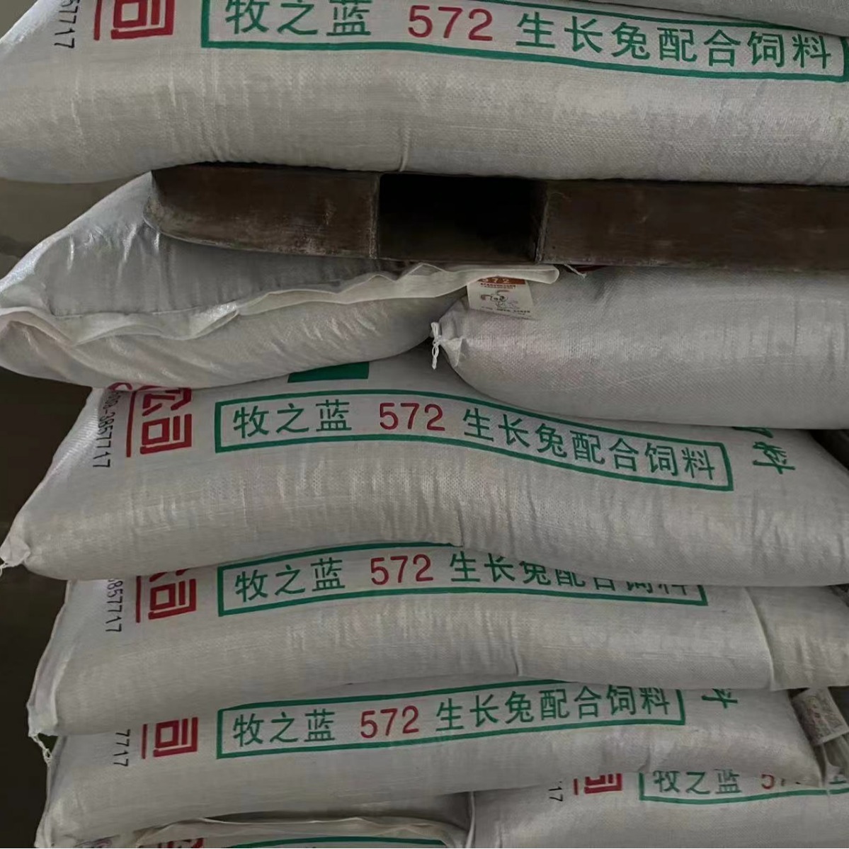 Một con thỏ mã xanh có nguồn cấp dữ liệu.