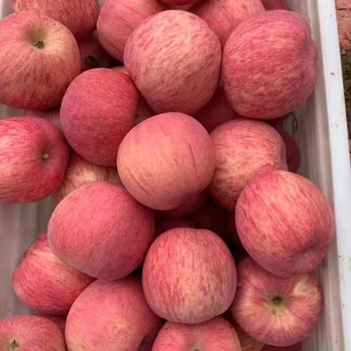 Sweet and juicy.
