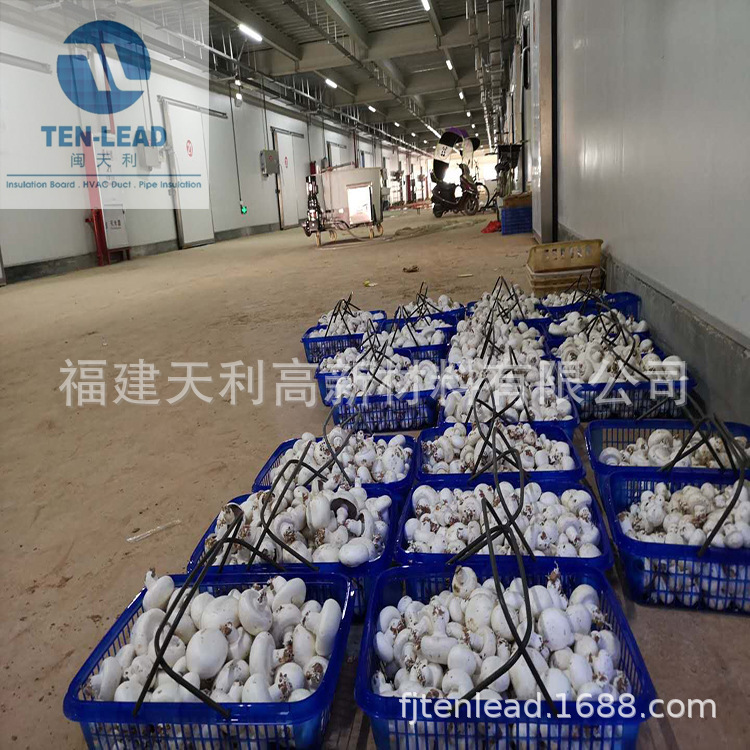 The walls of the mushroom factory, the fire-proofing panels of the edible plant, the phenol pips.