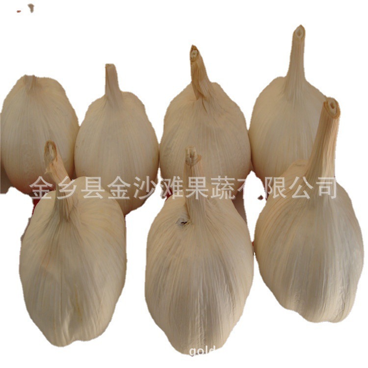 大量提供大蒜  厂家直销  欢迎前来咨询 大蒜