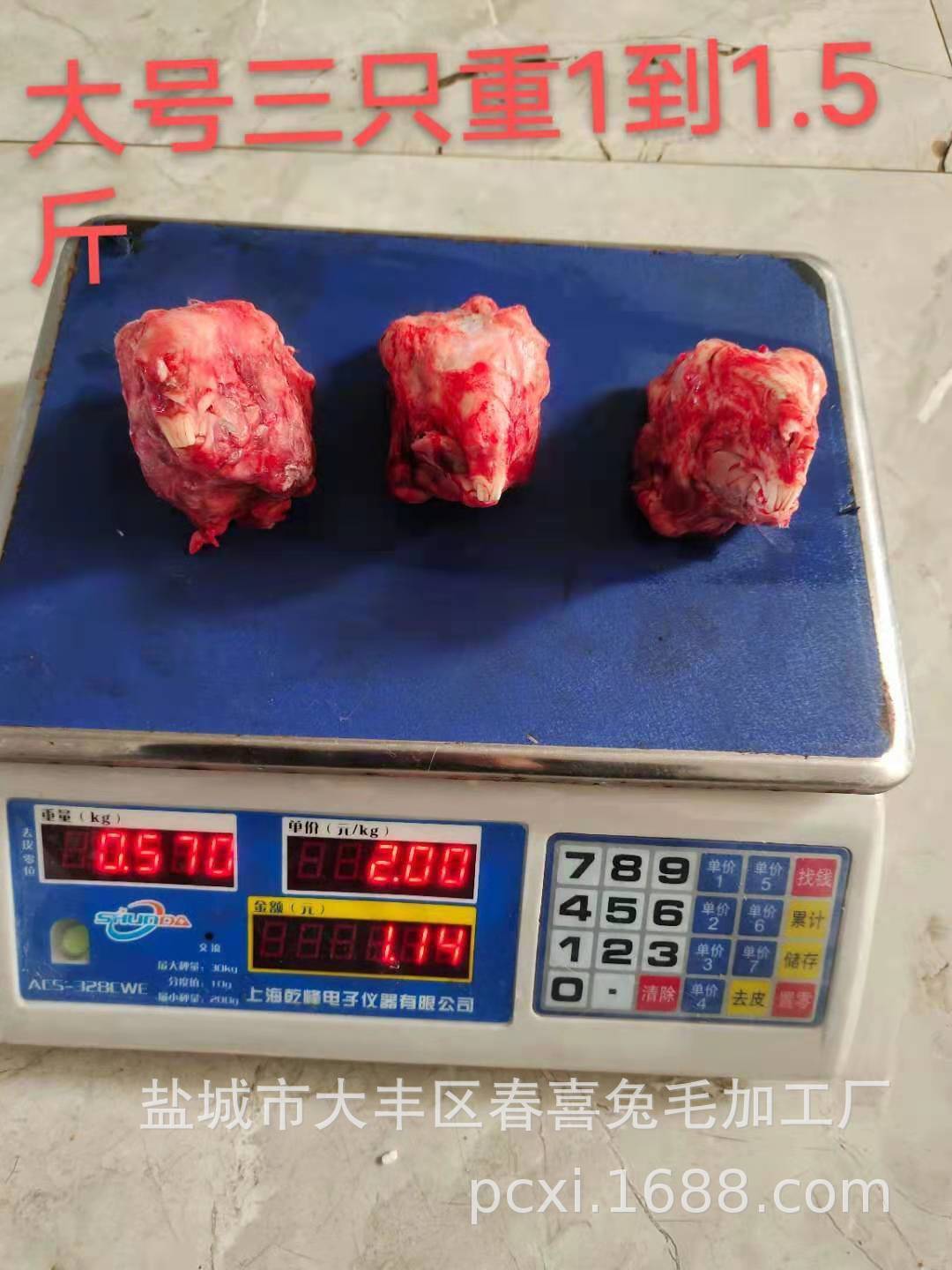 Tùy chỉnh để cung cấp một đầu thỏ mới, nhanh chóng ở trang trại thỏ của riêng mình.