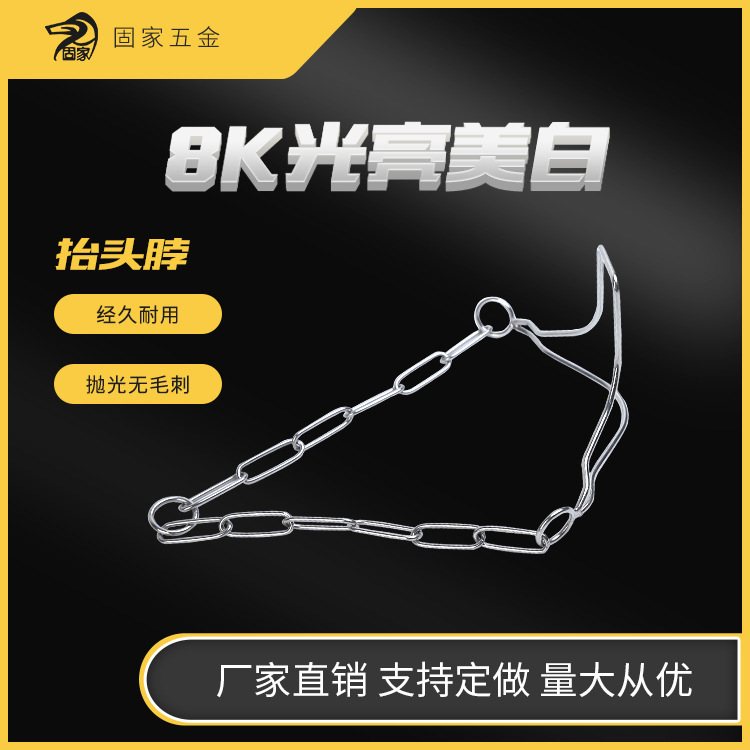 Con chó đã huấn luyện cổ áo thép không rỉ để cho thấy dây chuyền đầu.