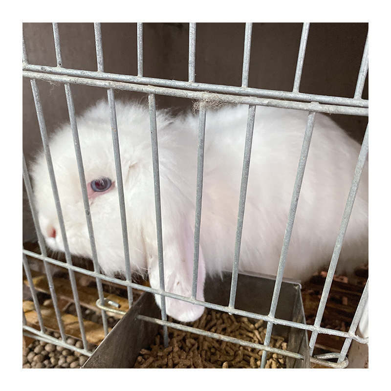 Support the customisation of Qingtao's large bag with 40 kg full-cost feed for rabbits and rabbits to feed rabbits.
