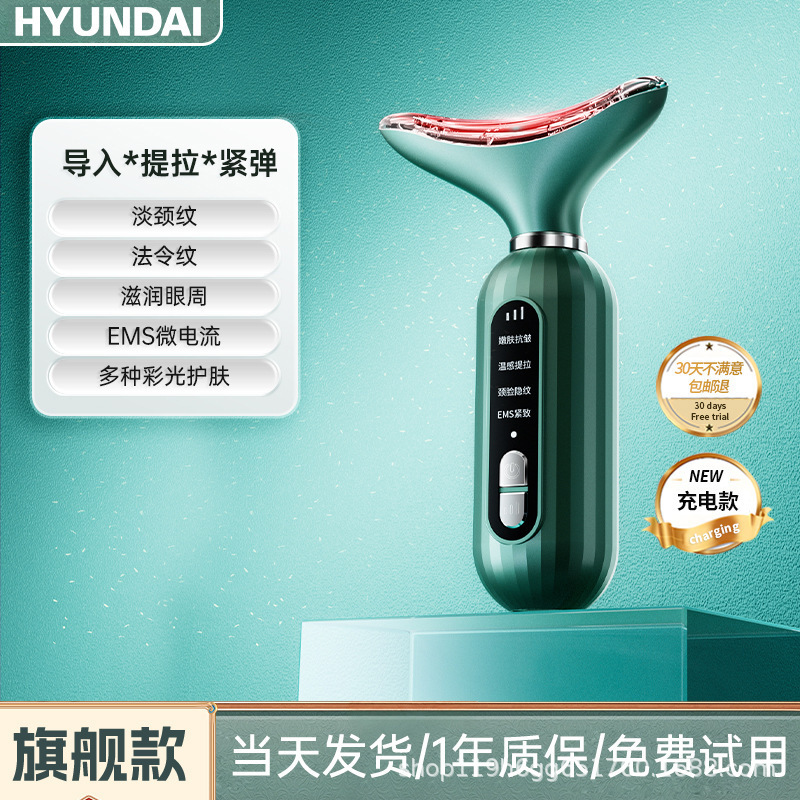 hyundai carnival, V 얼굴 마사지.