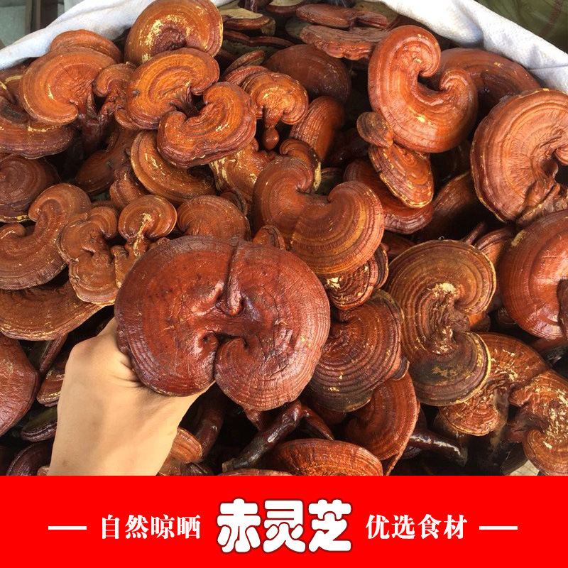 Tôi sẽ đưa anh bản sao lệnh.