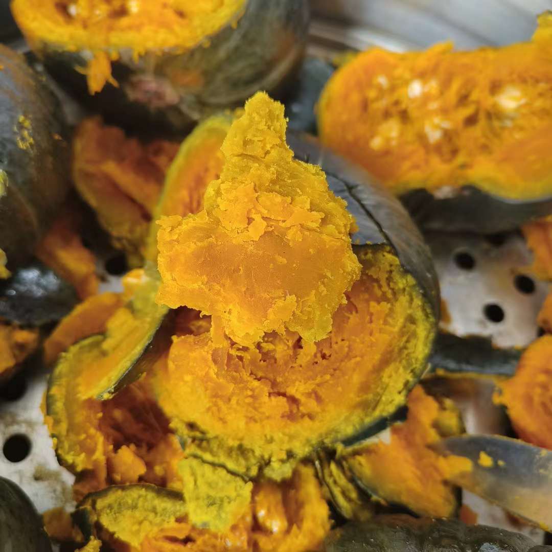 Pumpkin. Pumpkin. Pumpkin. Pumpkin.