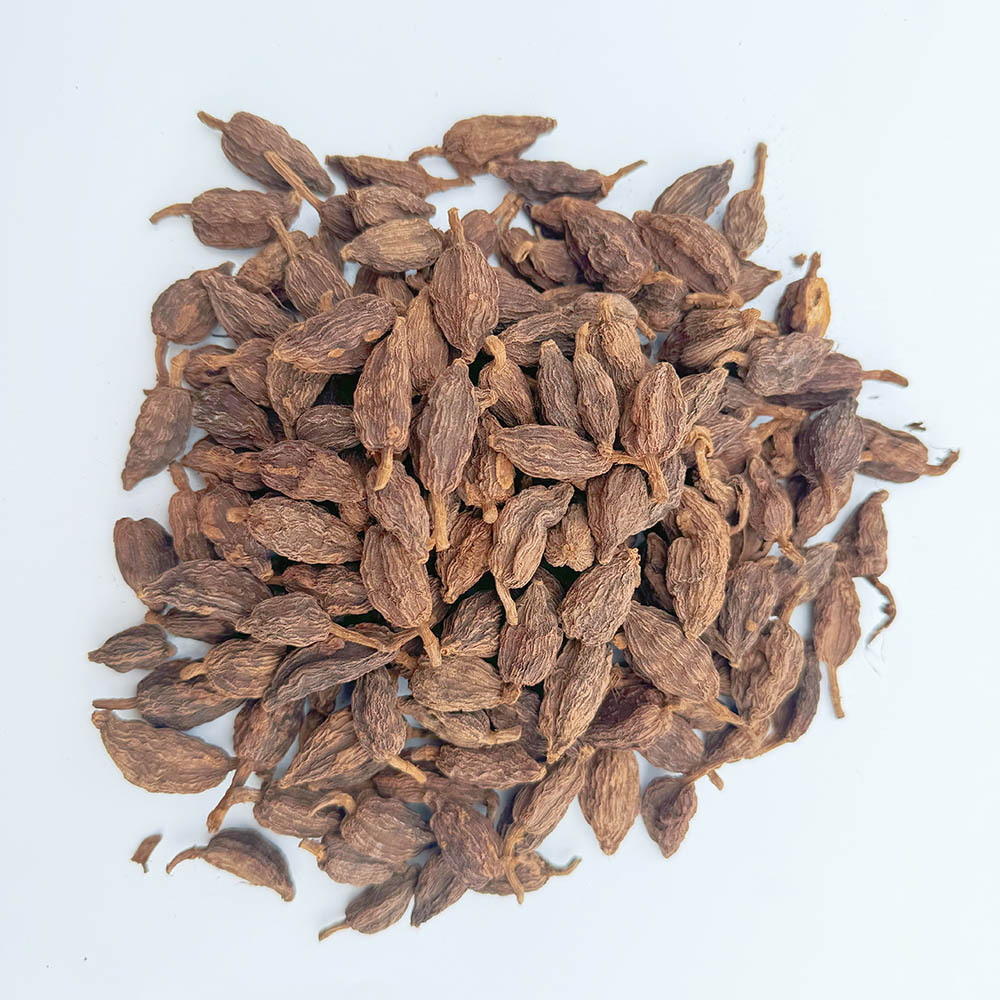 Cỏ dại, cỏ dại, cỏ dại, cỏ dại, cỏ dại.