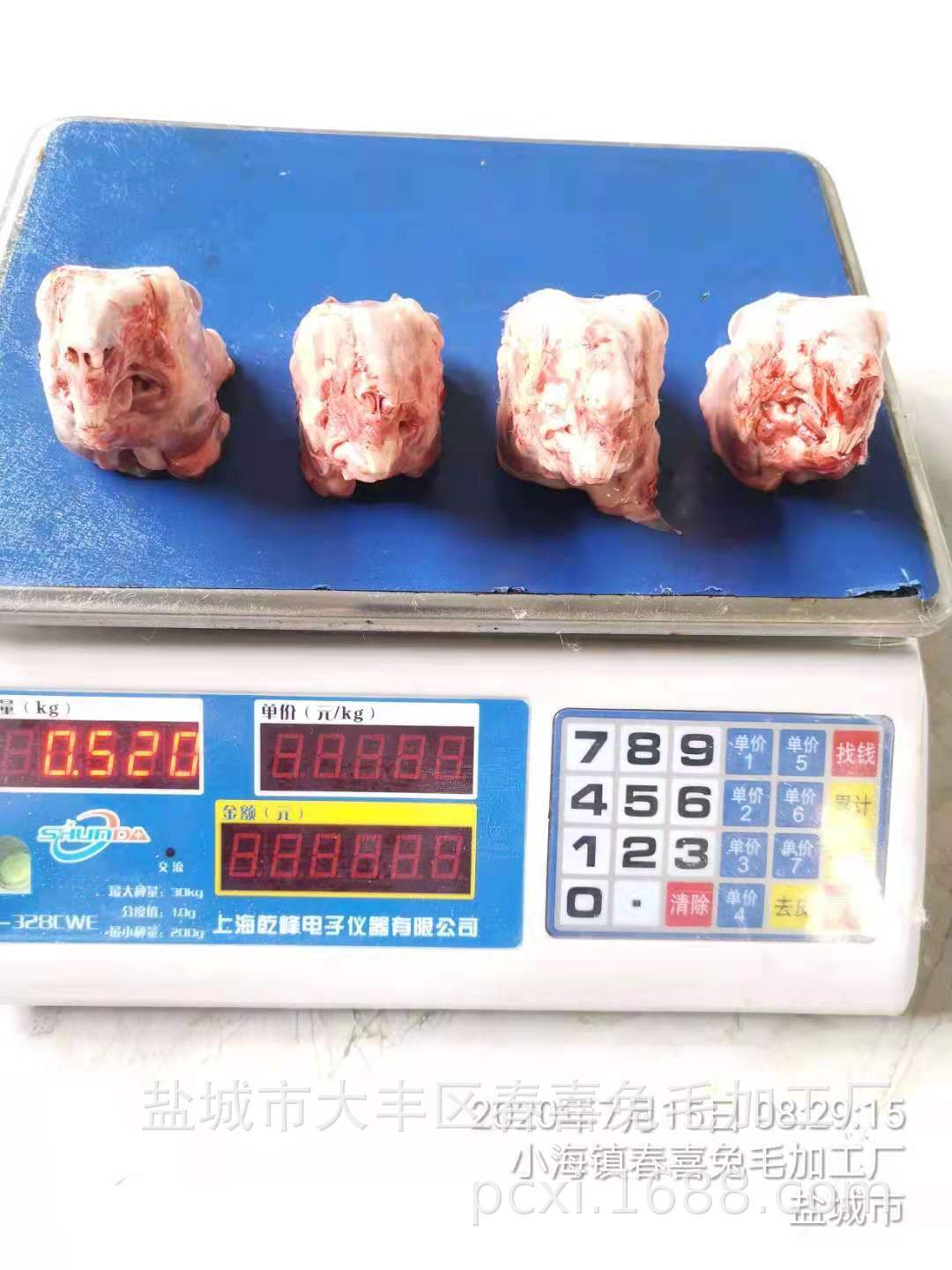 Tóc của con thỏ cay đến từ một con thỏ to lớn, cỡ trung bình, đầu gà tây lạnh lẽo của trang trại thỏ.