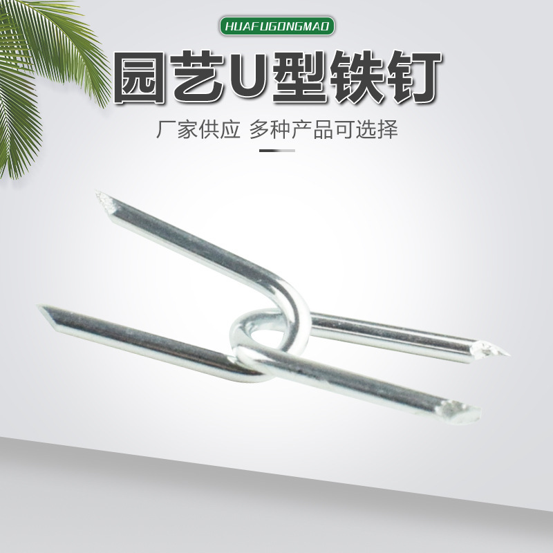 Cung cấp lớn móng tay kiểu Mỹ 100pk cho nhiều đặc điểm cụ thể