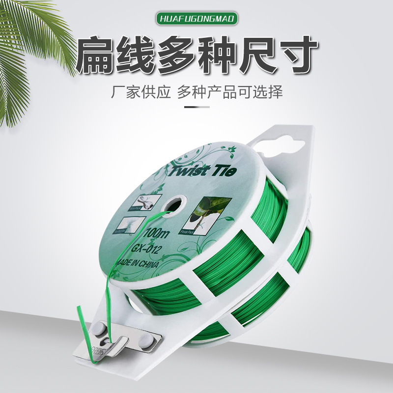 Cái dây thần kinh trung gian màu xanh lá cây Zaze với sợi dây để leo lên đăng-ten.