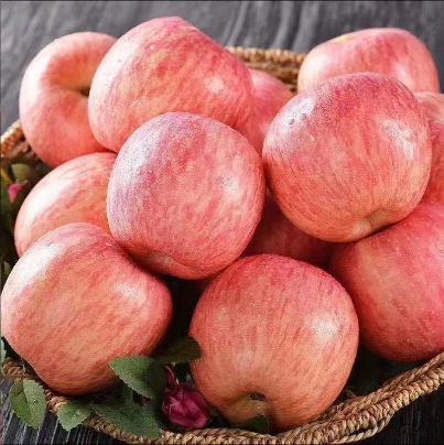 Shantoo Nien Tatsuya có một hộp gồm 5/9 pound thực phẩm và nước ngọt.