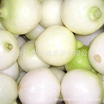 อุปสงค์ระยะยาว หัวหอมตกแต่ง ราคานิยม
