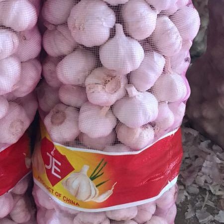 大量提供大蒜  厂家直销  欢迎前来咨询 大蒜