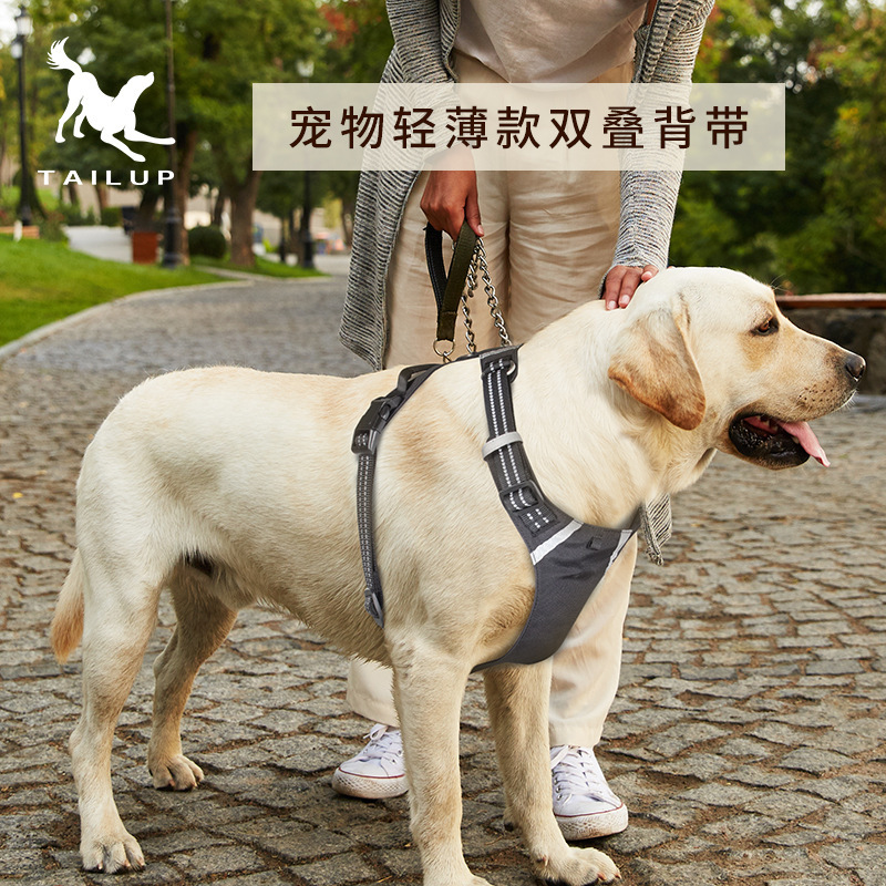 小狗狗背心式牽引繩中小型犬比熊泰迪寵物胸揹帶遛狗繩狗鏈可調節