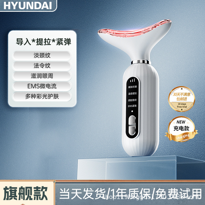 hyundai carnival, V 얼굴 마사지.