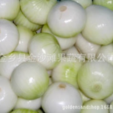 Cung cấp lâu dài, hành trang trí, ưu tiên giá cả.