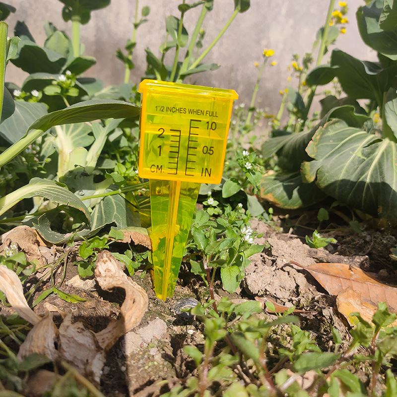 Nguồn thực vật Rainmill, Raintrolls, Raintrolls, Rainmeters, Garden Rainthlas.