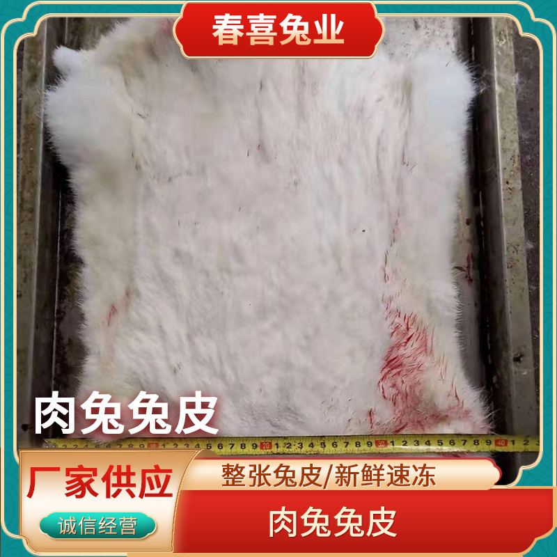Customize the whole rabbit-skin decoration with a large supply of fresh, fast-frozen, salt-free rabbits.