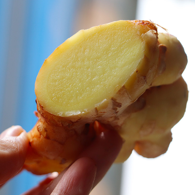 Zhong Yunnan's little ginger, fresh, fresh ginger, spicy, fresh vegetables with a box of 5 pounds of mail.