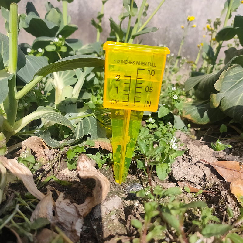 Nguồn thực vật Rainmill, Raintrolls, Raintrolls, Rainmeters, Garden Rainthlas.