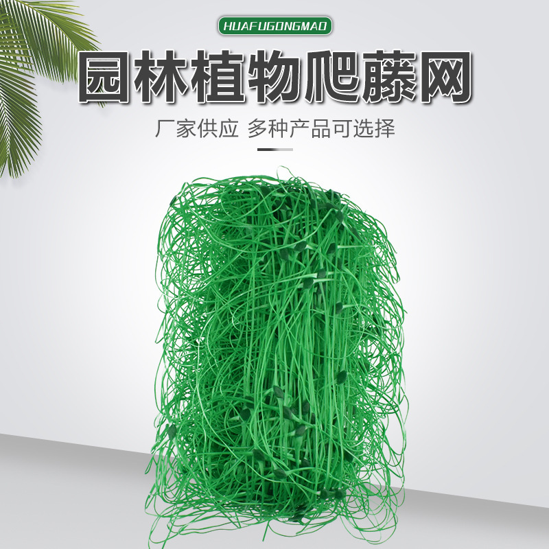 Nhà máy Yu Yao, nhà máy cung cấp thực vật và mạng lưới bò sát, mạng lưới nhựa, nút. Lâu và lâu lắm rồi.