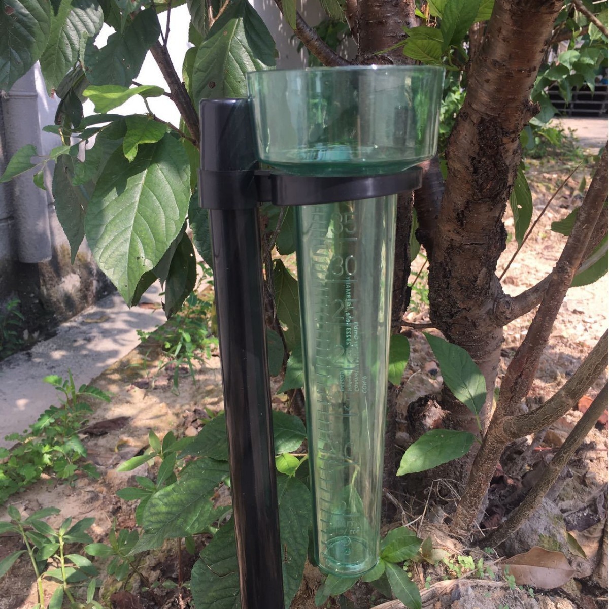 Cung cấp cốc cỡ vườn, thước đo, đo lượng mưa, cốc trong suốt, quy mô rõ ràng.