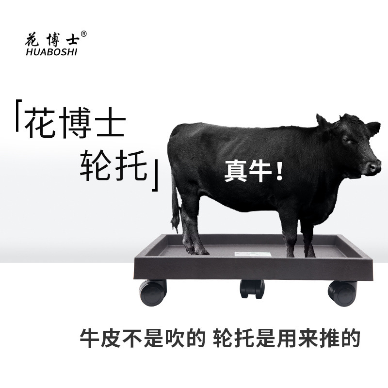 Tiến sĩ Hana bán trực tiếp một hình chữ nhật trên bánh xe với một cái khay dày và tải cao 10.000 bánh xe.
