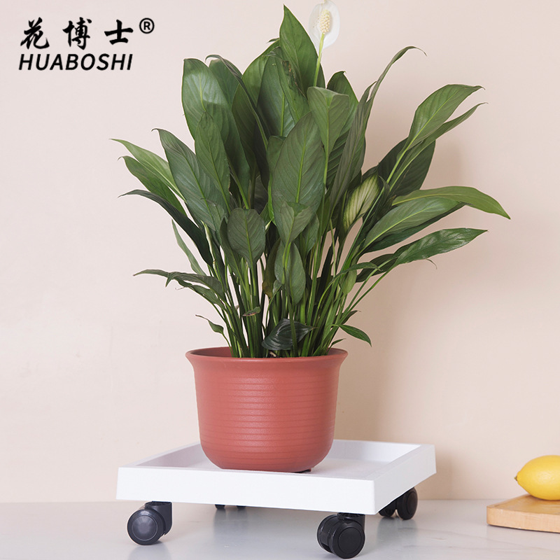 Công ty của Tiến sĩ Hana bán một cái bồn chứa bị cô lập với một cái bút hình tròn để có được sự phân phối hàng hóa từ đáy đĩa.
