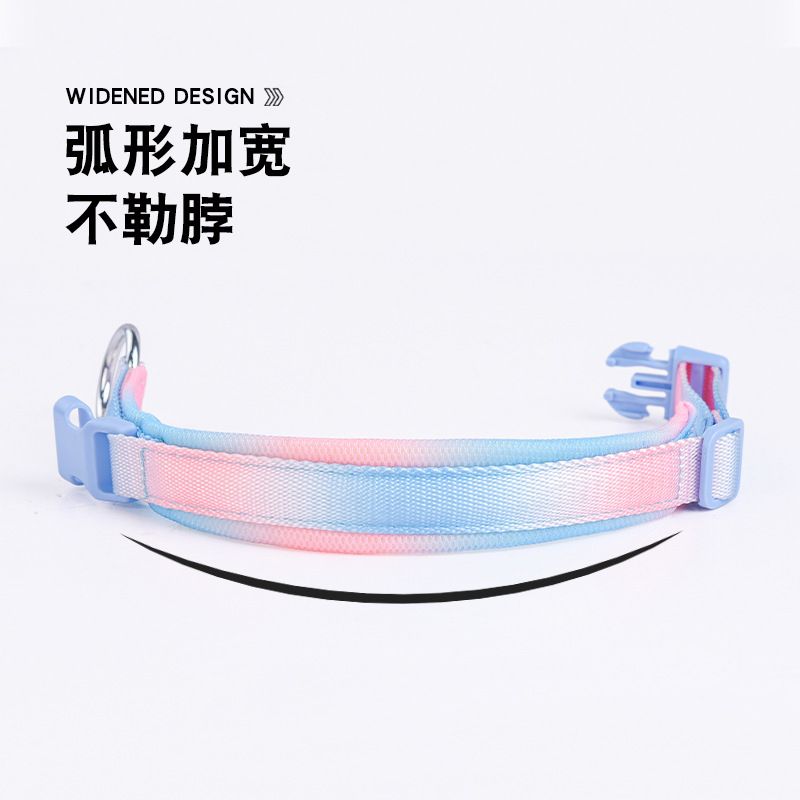 Con chó lắc cổ, Teddy Corky, đi bộ sandwich cổ của con chó với một lưới gas.