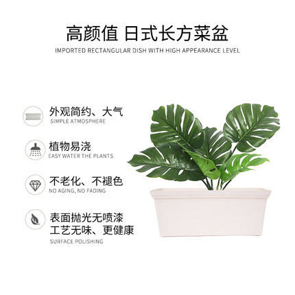 Nhà của Tiến sĩ Hana bán nhà bếp kiểu Nhật, nhà làm vườn, chậu rau hoàng hôn.