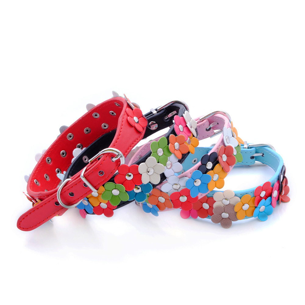 Những con thú săn mồi hai mang, những vòng cổ chó bảy màu, sốt Amazon mèo và chó săn.