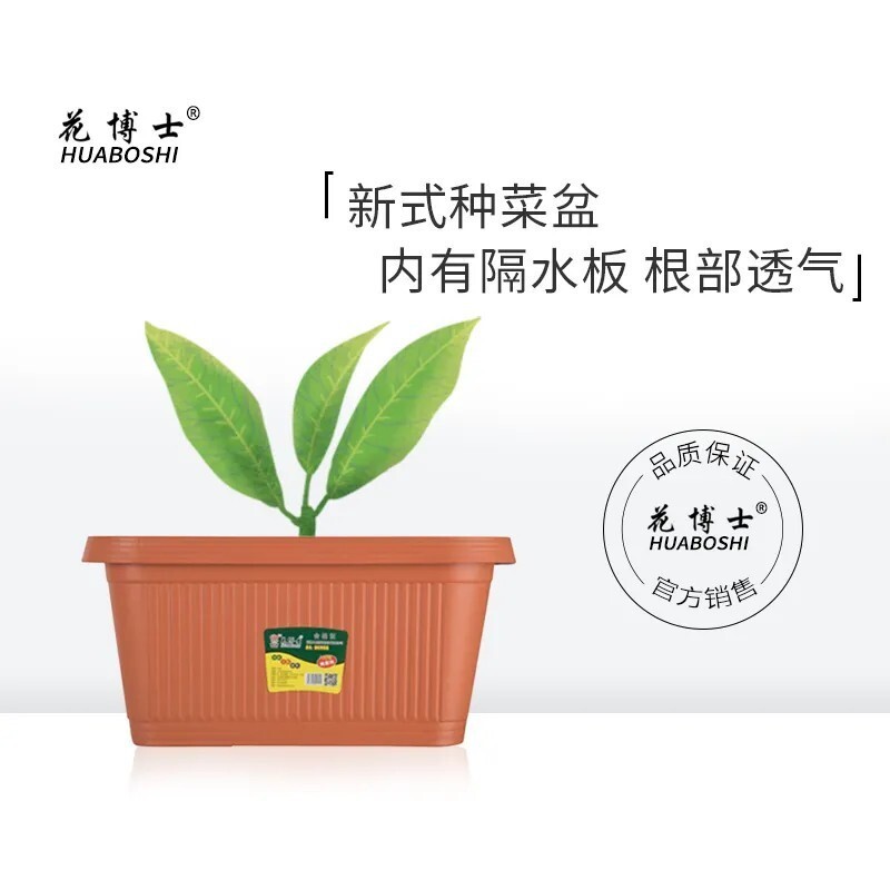 Tiến sĩ Hana đã trồng một bó hoa dài cho gia đình làm vườn một hình chữ nhật thực vật khổng lồ trong nhà.