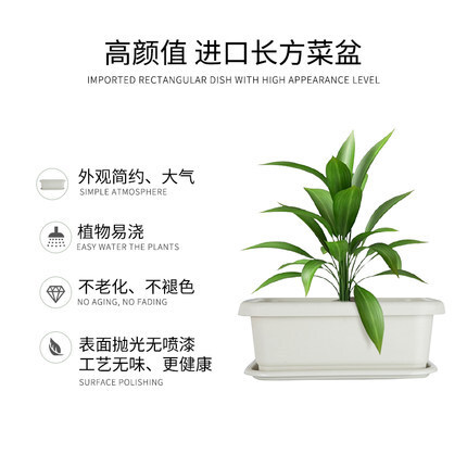 Vật liệu PP có thể phân chia đa chiều của Tiến sĩ Hana làm sâu hơn và làm tăng chậu hoa dài.