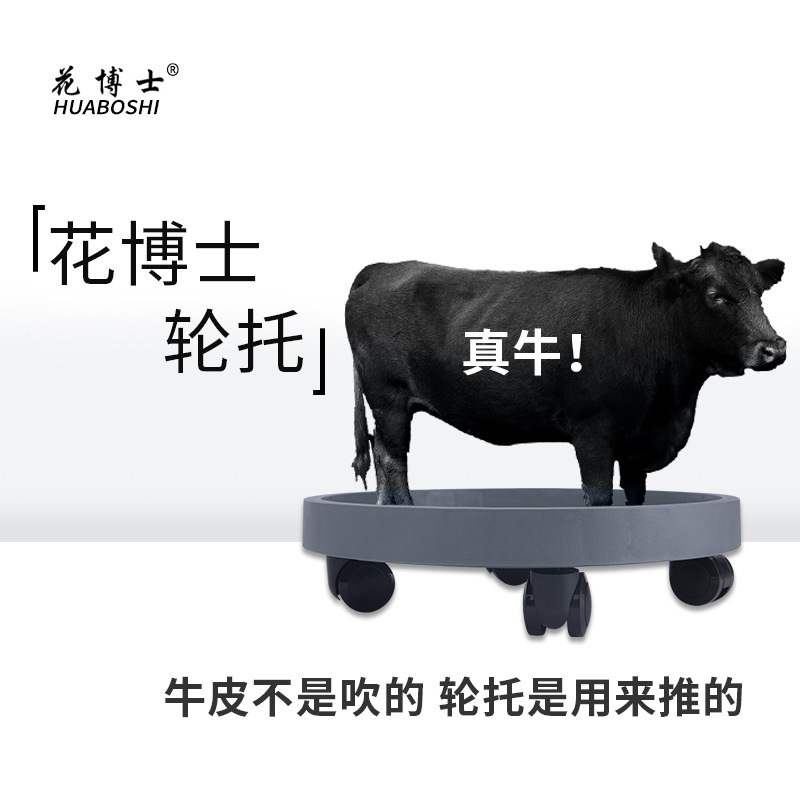 Tiến sĩ Hana, khay bánh xe, áo khoác thép, bánh xe, bánh xe, bánh xe.