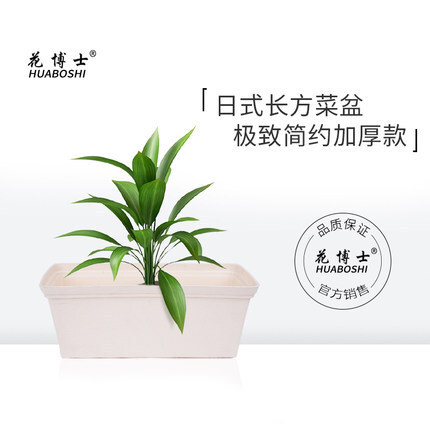 Nhà của Tiến sĩ Hana bán nhà bếp kiểu Nhật, nhà làm vườn, chậu rau hoàng hôn.