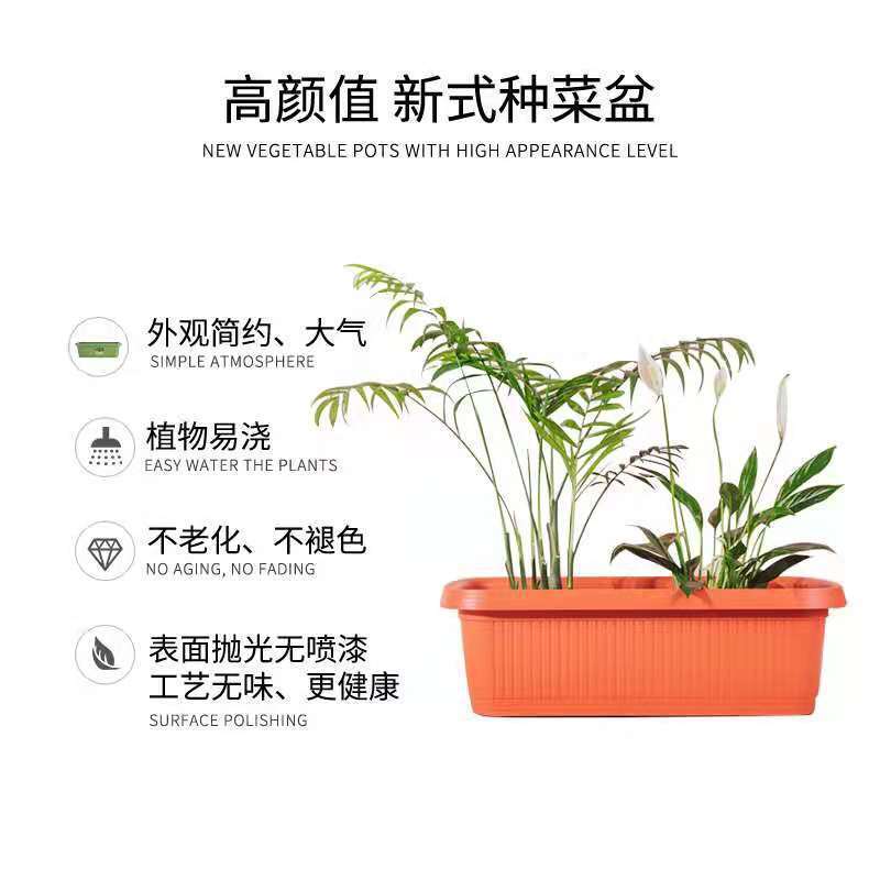 Bác sĩ Hana đã dùng nhiều loại bát rau mới có nhiều màu để chọn một chậu hoa cỡ lớn trong ban công gia đình.