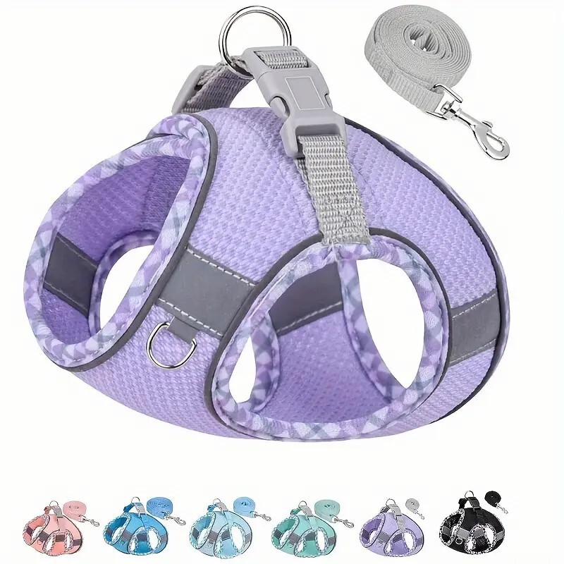 Một con chó Amazon mới bị xe tải đến máy bay đến sân bay đến sân bay, thắt lưng phản xạ cỡ nhỏ.