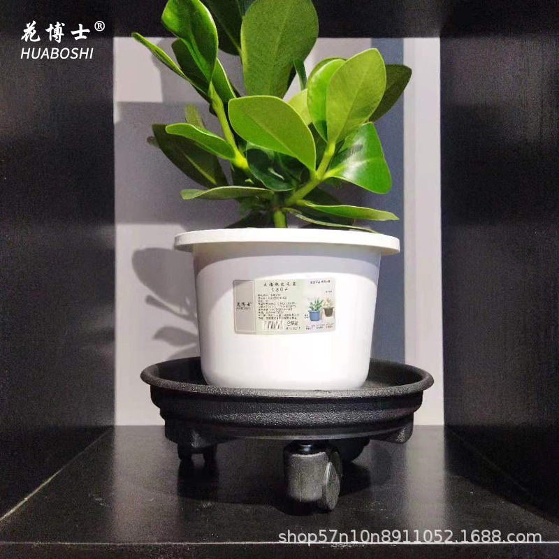 Tiến sĩ Hana bán trực tiếp vật liệu từ K đến p.P.