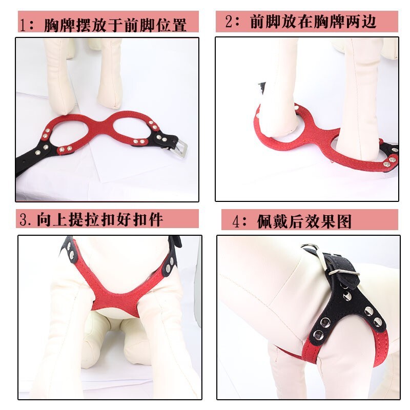 Những con thú nuôi siêu xơ cứng rắn với hình kính trên thắt lưng.