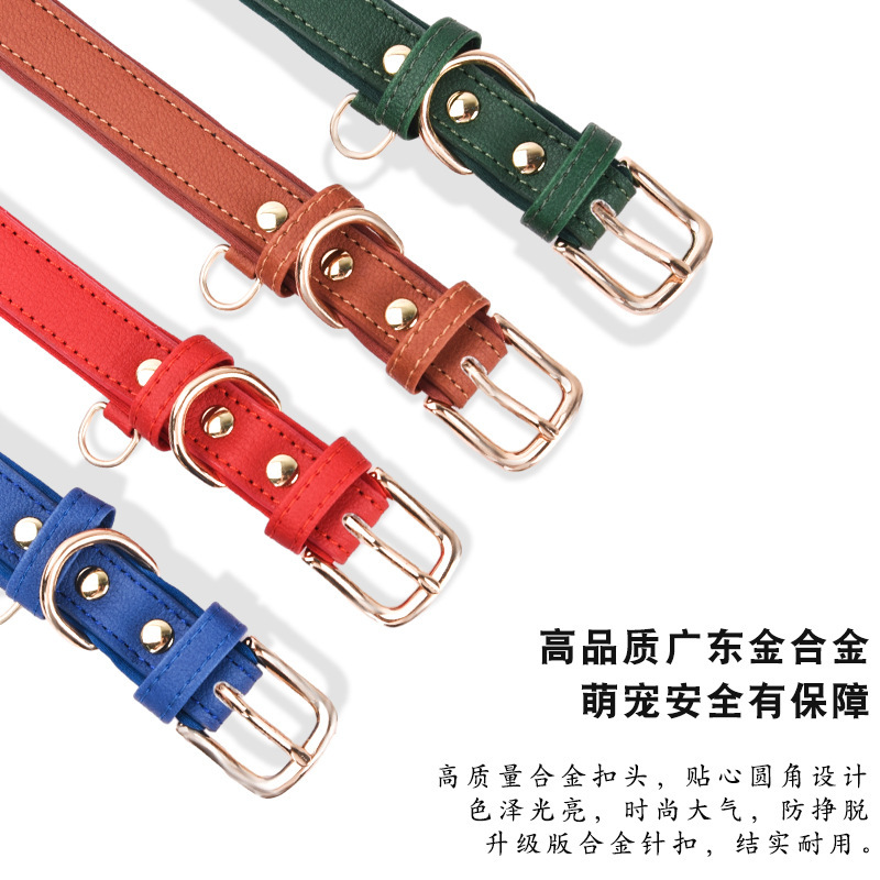 Vòng cổ của con chó rất khỏe, và cổ con chó lớn đầy rồi.