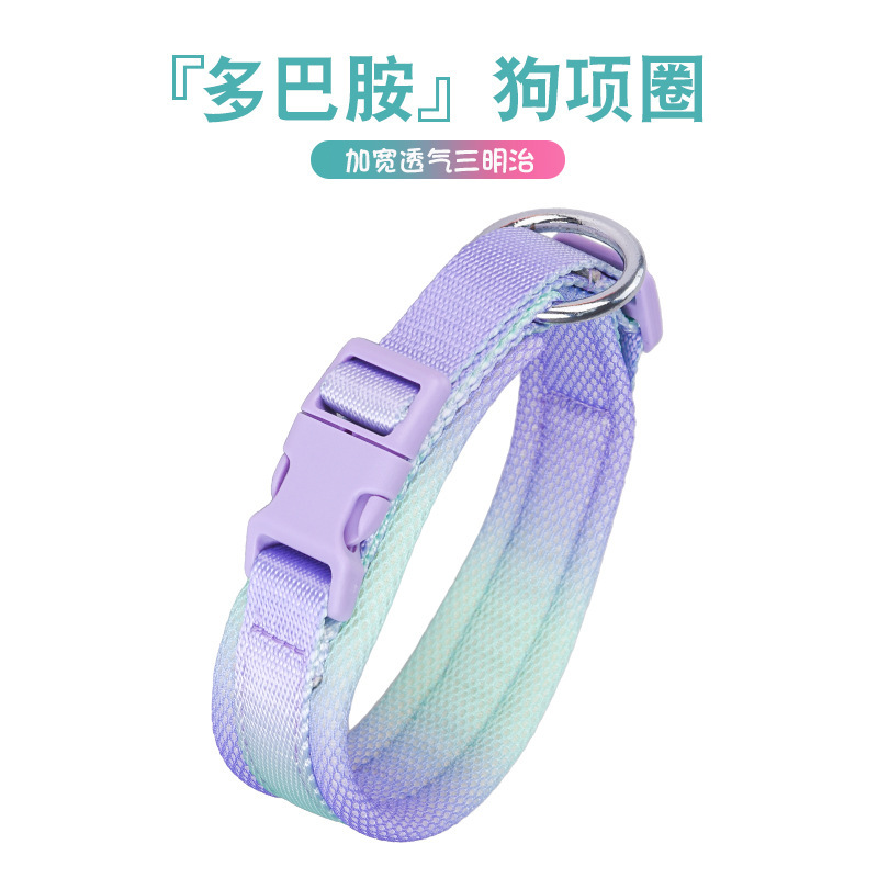 Con chó lắc cổ, Teddy Corky, đi bộ sandwich cổ của con chó với một lưới gas.
