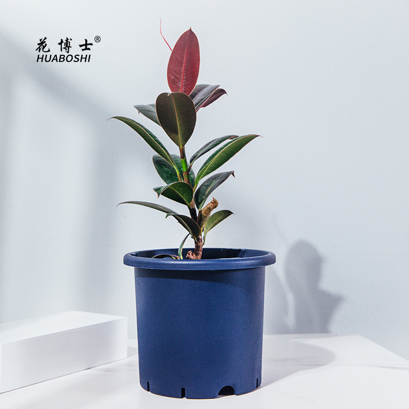 Đĩa nhựa làm vườn bán trực tiếp của Tiến sĩ Hana pP PP Shade Processor Series
