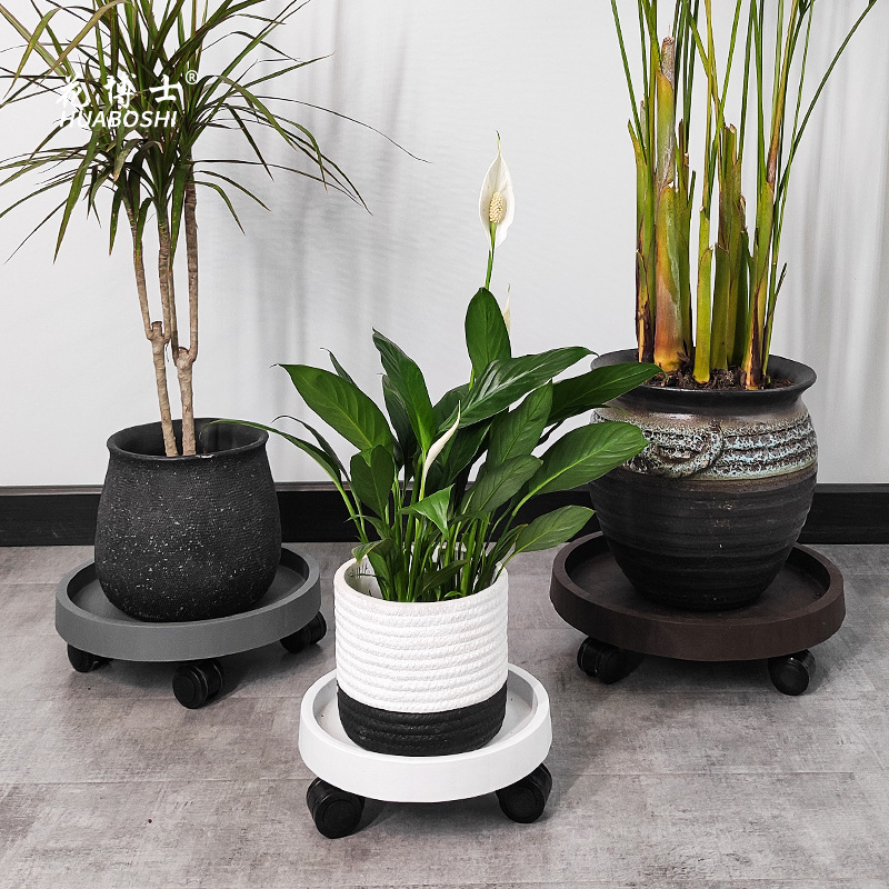 Tiến sĩ Hana, khay bánh xe, áo khoác thép, bánh xe, bánh xe, bánh xe.