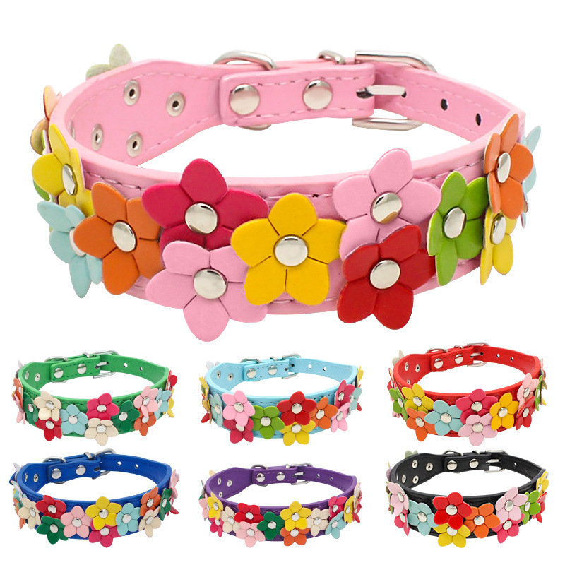 Những con thú săn mồi hai mang, những vòng cổ chó bảy màu, sốt Amazon mèo và chó săn.